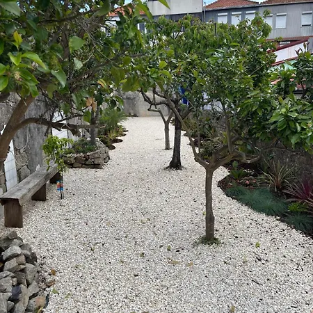 Apartment Charming 2br W Terrace & Garden